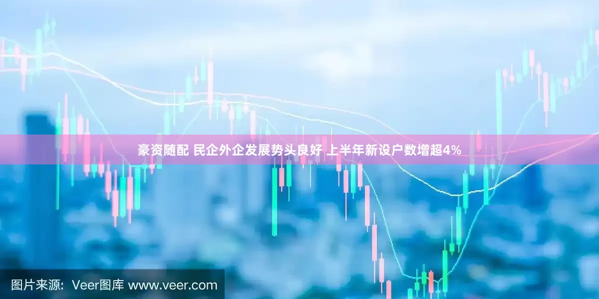 豪资随配 民企外企发展势头良好 上半年新设户数增超4%