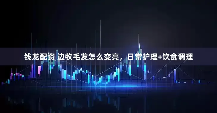 钱龙配资 边牧毛发怎么变亮，日常护理+饮食调理