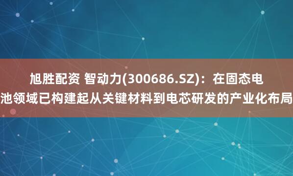 旭胜配资 智动力(300686.SZ)：在固态电池领域已构建起从关键材料到电芯研发的产业化布局